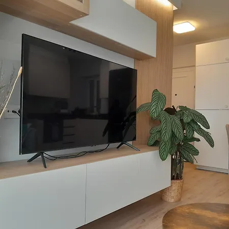 Calatea - Céntrico, 2 Habitaciones, Wifi - Vut-5603-as * Oviedo